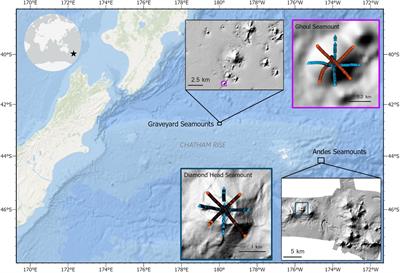 Fine-Scale Mapping of Mega-Epibenthic Communities and Their Patch Characteristics on Two New Zealand Seamounts